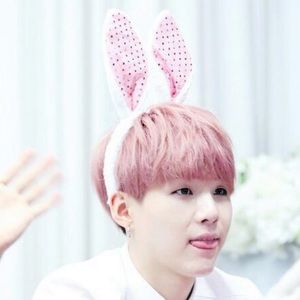 Meet your Posher, Bich